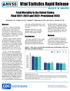 Fetal Mortality in the United States Final 20212022 and 2022Provisional 2023