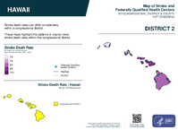 HI Congressional District 02 Stroke and Federally Qualified Health Centers Map 119th Congress