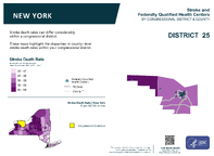 NY Congressional District 25 Stroke and Federally Qualified Health Centers Map 118th Congress