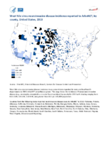 West Nile virus neuroinvasive disease incidence reported to ArboNET by county United States 2013