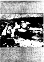 Public Health Reports  v 81 no 8 August 1966  masthead