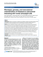 Phenotypic genomic and transcriptional characterization of Streptococcus pneumoniae interacting with human pharyngeal cells