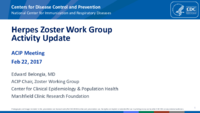 Herpes Zoster Work Group activity update