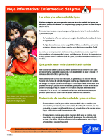 Hoja informativa Enfermedad de Lyme
