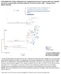 Supplementary Figure Phylogenetic Tree Showing Genetic Distance Between SARSCoV2Positive Specimens Associated With a University Outbreak by Travel History N  104  Chicago Illinois MarchMay 2021