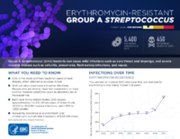 CDCs 2019 Antibiotic Resistance Threats Report Erythromycinresistant Group AStreptococcus