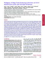 Phylogeny of Shiga ToxinProducing Escherichia coli O157 Isolated from Cattle and Clinically Ill Humans