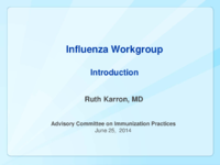 Influenza Work Group introduction