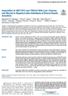 Association of HSD17B13 and PNPLA3 with Liver Enzymes and Fibrosis in HispanicLatino Individuals of Diverse Genetic Ancestries