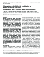 Misacylation of tRNA with methionine in Saccharomyces cerevisiae