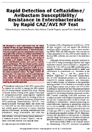 Rapid Detection of CeftazidimeAvibactam SusceptibilityResistance in Enterobacterales by Rapid CAZAVI NP Test