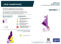 NH Congressional District 01 Stroke and Stroke Centers Map 118th Congress