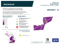 MI Congressional District 13 Stroke and Stroke Centers Map 118th Congress