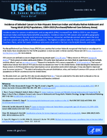 Incidence of Selected Cancers in NonHispanic American Indian and Alaska Native Adolescent and Young Adult AYA Populations 19992019 PurchasedReferred Care Delivery Areas