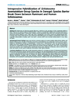 Introgressive Hybridization of Schistosoma haematobium Group Species in Senegal Species Barrier Break Down between Ruminant and Human Schistosomes
