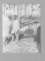 Public Health Reports  v 85 no 7  masthead