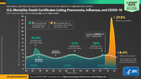 US Mortality Death Certificates Listing Pneumonia Influenza COVID19 Data Through Week Ending May 30 2020 as of June 4 2020