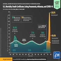 US Mortality Death Certificates Listing Pneumonia Influenza COVID19 Data Through Week Ending May 2 2020 as of May 7 2020