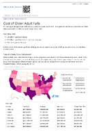 Cost of Older Adult Falls 2014