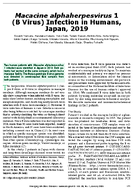 Macacine alphaherpesvirus 1 B Virus Infection in Humans Japan 2019