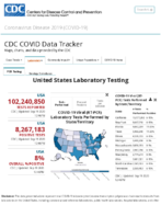 United States laboratory testing COVID19 viiral RTPCR laboratory tests performed by stateterritory Sep 19 2020