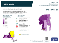 NY Congressional District 21 Stroke and Stroke Centers Map 118th Congress