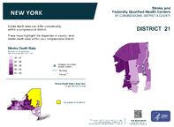 NY Congressional District 21 Stroke and Federally Qualified Health Centers Map 118th Congress