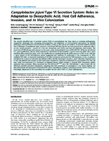 Campylobacter jejuni Type VI Secretion System Roles in Adaptation to Deoxycholic Acid Host Cell Adherence Invasion and In Vivo Colonization