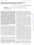 Opposite Effect of NFkB and CJun NTerminal Kinase on p53Independent GADD45 Induction by Arsenite