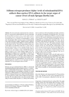Stilbene Estrogen Produces Higher Levels of Mitochondrial DNA Adducts than Nuclear DNA Adducts in the Target Organ of Cancer Liver of Male Sprague Dawley Rats