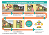 21Day Investigation of Ebola Patients Direct Contacts in Guinea