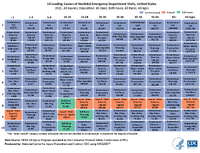 10 Leading Causes of Nonfatal Emergency Department Visits United States  2021 All Injuries Disposition All cases Both Sexes All Races All Ages