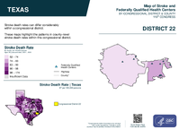 TX Congressional District 22 Stroke and Federally Qualified Health Centers Map 119th Congress
