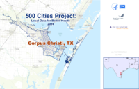 500 Cities Project Local Data for Better Health 2014 Corpus Christi TX