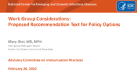 Work Group considerations  proposed recommendation text for policy options