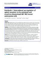 Interleukin1 betainduced upregulation of opioid receptors in the untreated and morphinedesensitized U87 MG human astrocytoma cells