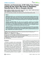 Infection and Transmission of Rift Valley Fever Viruses Lacking the NSs andor NSm Genes in Mosquitoes Potential Role for NSm in Mosquito Infection