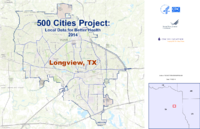 500 Cities Project Local Data for Better Health 2014 Longview TX