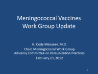Meningococcal Vaccines Work Group update