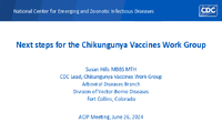 Next steps for the Chikungunya Vaccines Work Group