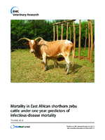 Mortality in East African shorthorn zebu cattle under one year predictors of infectiousdisease mortality