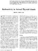 Radioactivity in animal thyroid glands