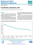 Fetal Mortality United States 2021