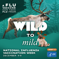 A Flu Vaccine Can Take Flu from Wild to Mild National Influenza Vaccination Week December 48 ReindeerPug in antlers