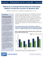 Differences in Cesarean Delivery Rates for Puerto Rican Mothers in Puerto Rico and in the US Mainland 2023