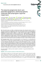 The Placenta EpigenomeBrain Axis Placental Epigenomic and Transcriptomic Responses That Preprogram Cognitive Impairment