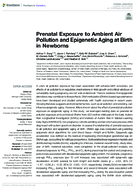 Prenatal Exposure to Ambient Air Pollution and Epigenetic Aging at Birth in Newborns