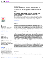 Orientia Rickettsia and the Microbiome in Rodent Attached Chiggers in North Carolina USA