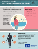 ESTA EMBARAZADA y vive en un area con zika 20160311