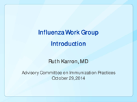 Influenza Work Group introduction
